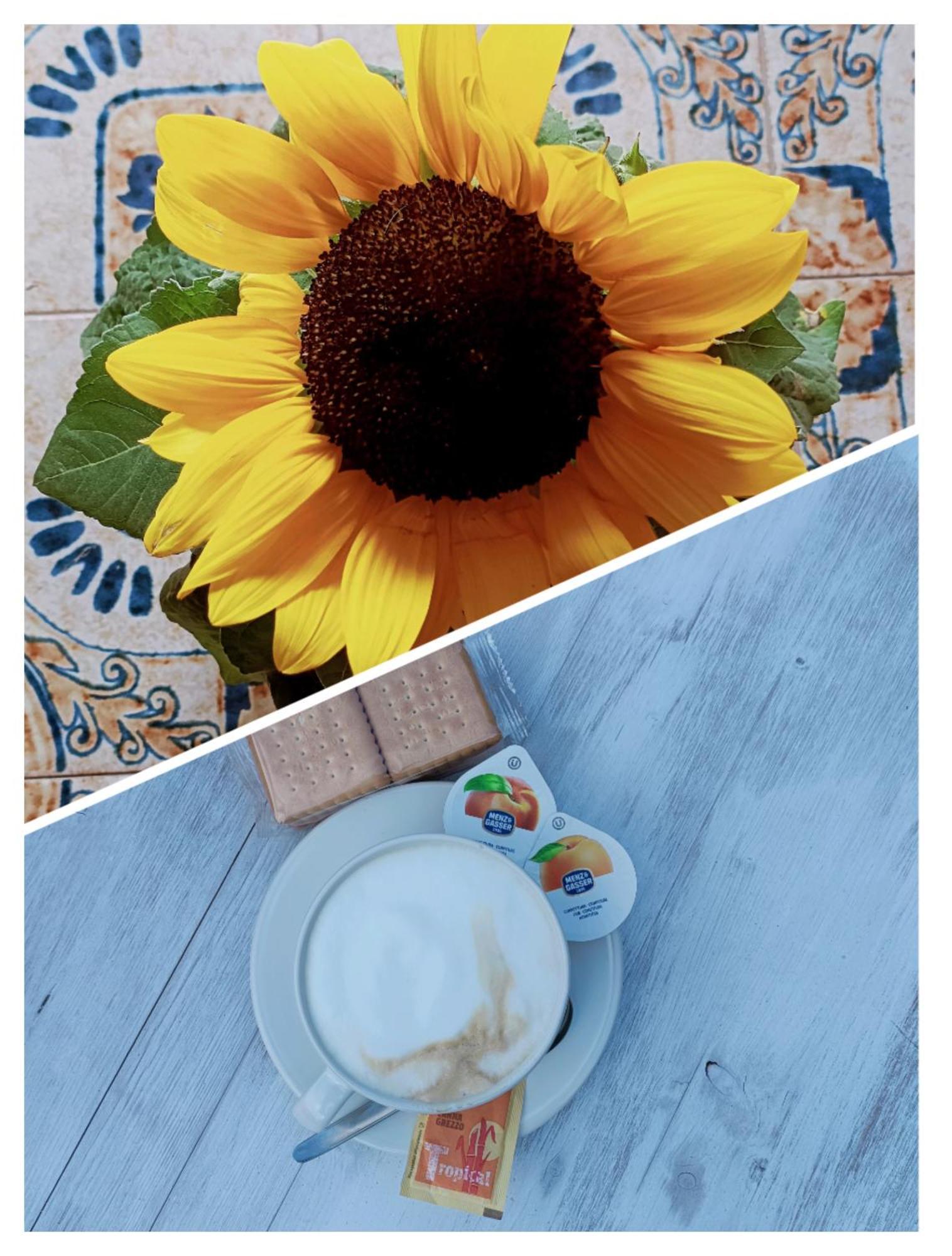 B&B Il Girasole Финале Лигуре Экстерьер фото